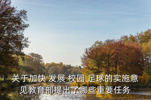 發(fā)展校園足球計(jì)劃,鄂州市積極實(shí)施校園足球計(jì)劃