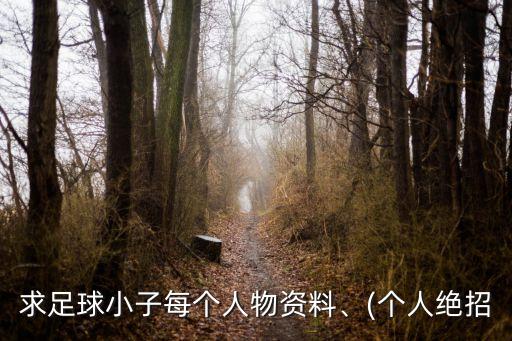 求足球小子每個人物資料、(個人絕招