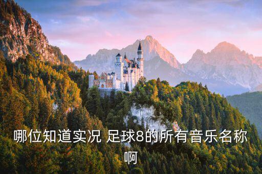 哪位知道實(shí)況 足球8的所有音樂名稱啊