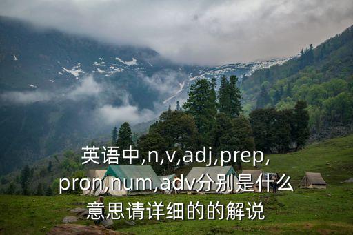 英語(yǔ)中,n,v,adj,prep,pron,num,adv分別是什么意思請詳細的的解說(shuō)