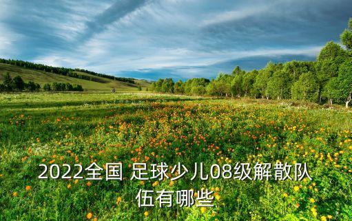 2022全國 足球少兒08級解散隊伍有哪些