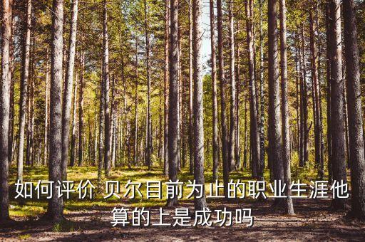 如何評(píng)價(jià) 貝爾目前為止的職業(yè)生涯他算的上是成功嗎