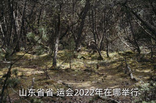  山東省省 運會(huì )2022年在哪舉行