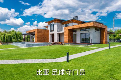 比亞 足球守門員