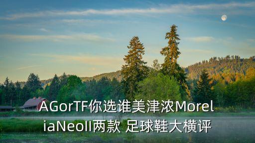 AGorTF你選誰(shuí)美津濃MoreliaNeoII兩款 足球鞋大橫評(píng)
