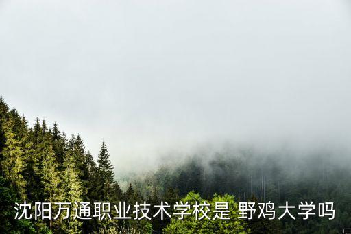 沈陽萬通職業(yè)技術(shù)學(xué)校是 野雞大學(xué)嗎