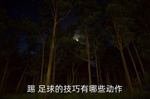 踢 足球的技巧有哪些動(dòng)作