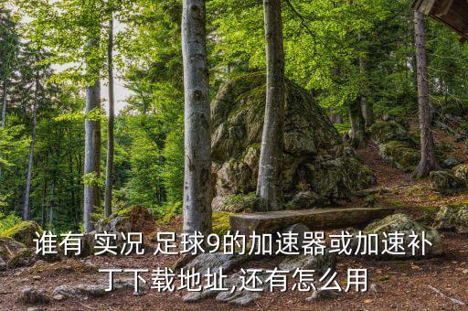 誰有 實(shí)況 足球9的加速器或加速補(bǔ)丁下載地址,還有怎么用