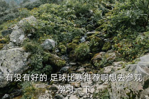 有沒(méi)有好的 足球比賽推薦啊想去參觀學(xué)習(xí)一下