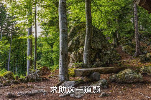 求助這一道題