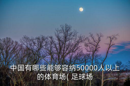 中國(guó)有哪些能夠容納50000人以上的體育場(chǎng)( 足球場(chǎng)