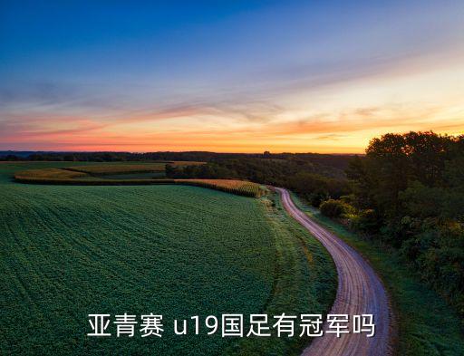 亞青賽 u19國足有冠軍嗎