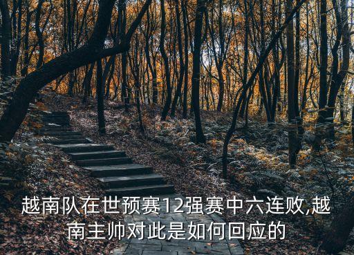 越南隊(duì)在世預(yù)賽12強(qiáng)賽中六連敗,越南主帥對(duì)此是如何回應(yīng)的
