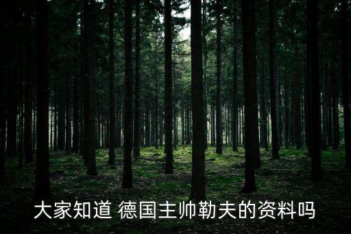 大家知道 德國(guó)主帥勒夫的資料嗎