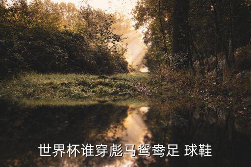 足球球鞋簽約,足球運(yùn)動(dòng)員球鞋一般多久換