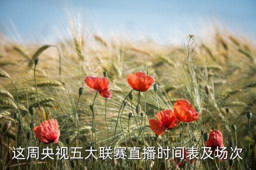 這周央視五大聯(lián)賽直播時(shí)間表及場次