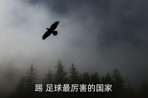 踢 足球最厲害的國(guó)家