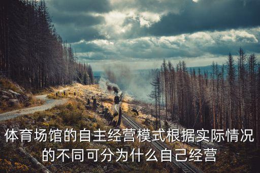 室內(nèi)足球場(chǎng)運(yùn)營(yíng),足球場(chǎng)承包運(yùn)營(yíng)方案