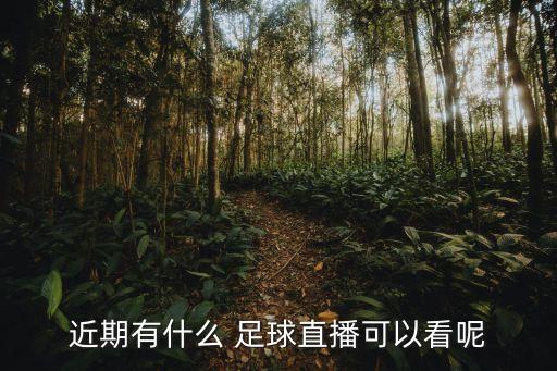 近期有什么 足球直播可以看呢