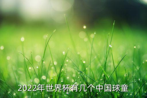 2022年世界杯有幾個中國球童