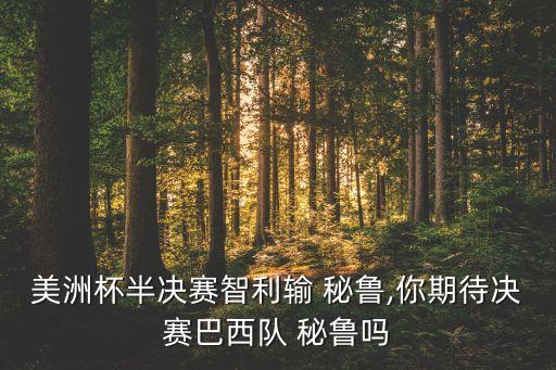 美洲杯半決賽智利輸 秘魯,你期待決賽巴西隊 秘魯嗎