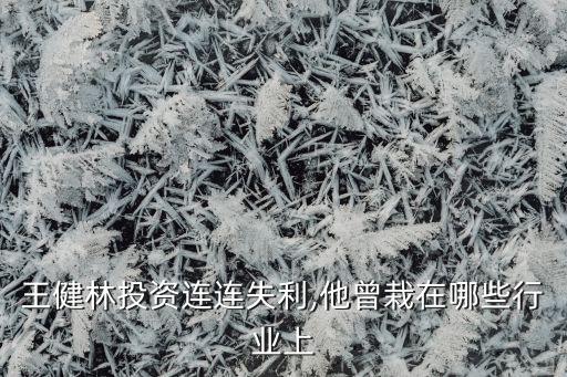 王健林投資連連失利,他曾栽在哪些行業(yè)上
