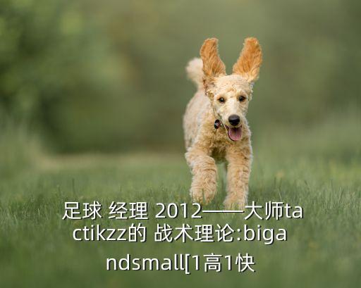  足球 經(jīng)理 2012——大師tactikzz的 戰(zhàn)術(shù)理論:bigandsmall[1高1快