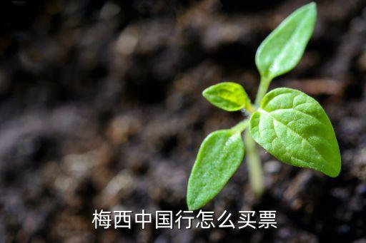 鄭州梅西足球公園,鄭州足球公園開(kāi)放了嗎