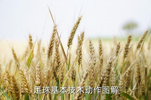  足球基本技術(shù)動(dòng)作圖解