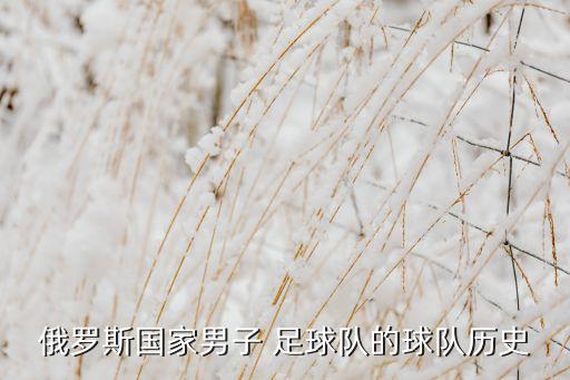 莫斯科足球聯(lián)賽
