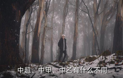  中超、中甲、中乙有什么不同