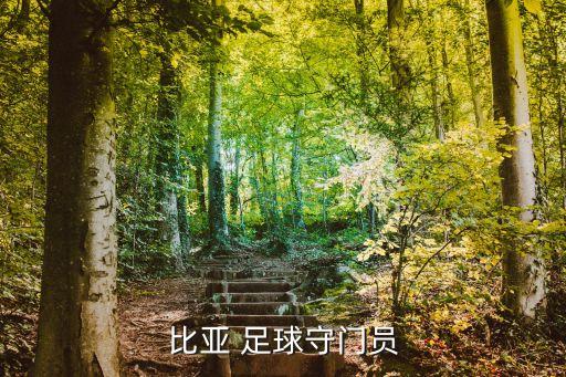 比亞 足球守門員