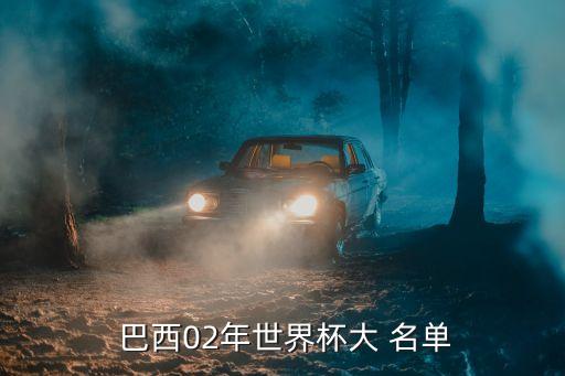  巴西02年世界杯大 名單