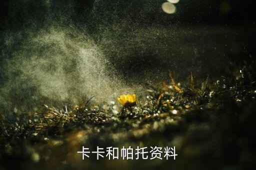 卡卡和帕托資料