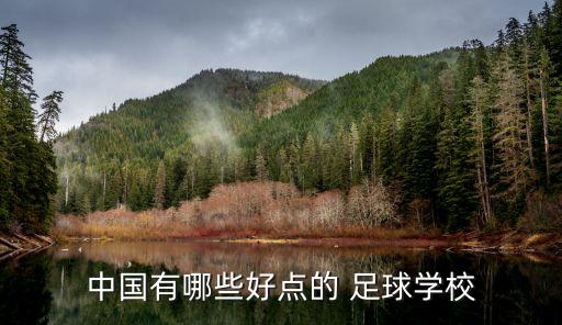 中國有哪些好點(diǎn)的 足球?qū)W校