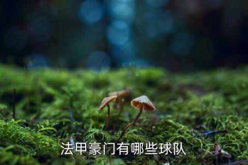 足球俱樂部 摩納哥,摩納哥足球俱樂部為什么在法甲