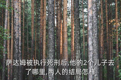 足球二兒子叫什么,武則天二兒子叫什么