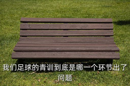 我們足球的青訓(xùn)到底是哪一個環(huán)節(jié)出了問題