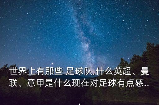 世界上有那些 足球隊,什么英超、曼聯(lián)、意甲是什么現在對足球有點(diǎn)感...