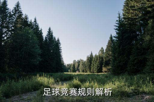 足球擂臺比賽,華山論劍足球吧擂臺