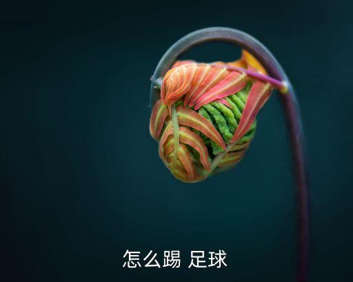 怎么踢 足球