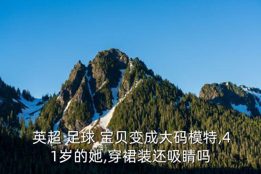 英超足球?qū)氊惒世L,巴西足球?qū)氊惒世L圖片開檔