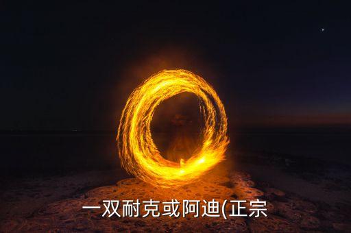 一雙耐克或阿迪(正宗