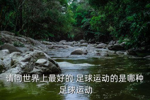 請問世界上最好的 足球運動的是哪種 足球運動