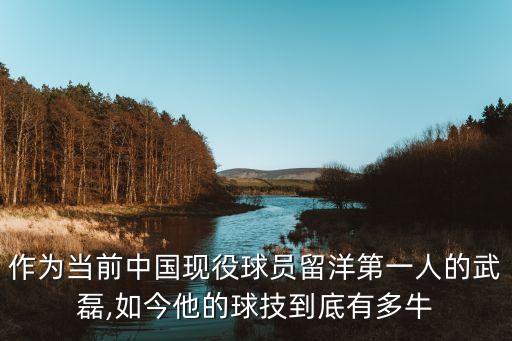 作為當前中國現役球員留洋第一人的武磊,如今他的球技到底有多牛