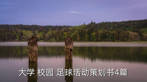 大學(xué) 校園 足球活動(dòng)策劃書(shū)4篇
