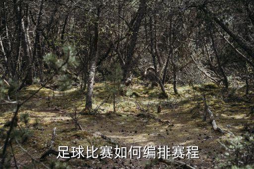  足球比賽如何編排賽程