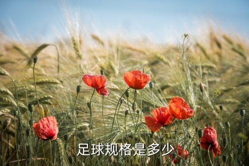  足球規(guī)格是多少