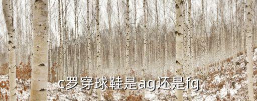 c羅穿球鞋是ag還是fg
