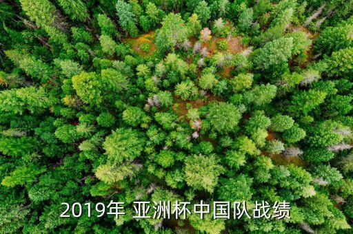 看亞洲杯足球賽,亞洲杯足球賽2022在哪個城市